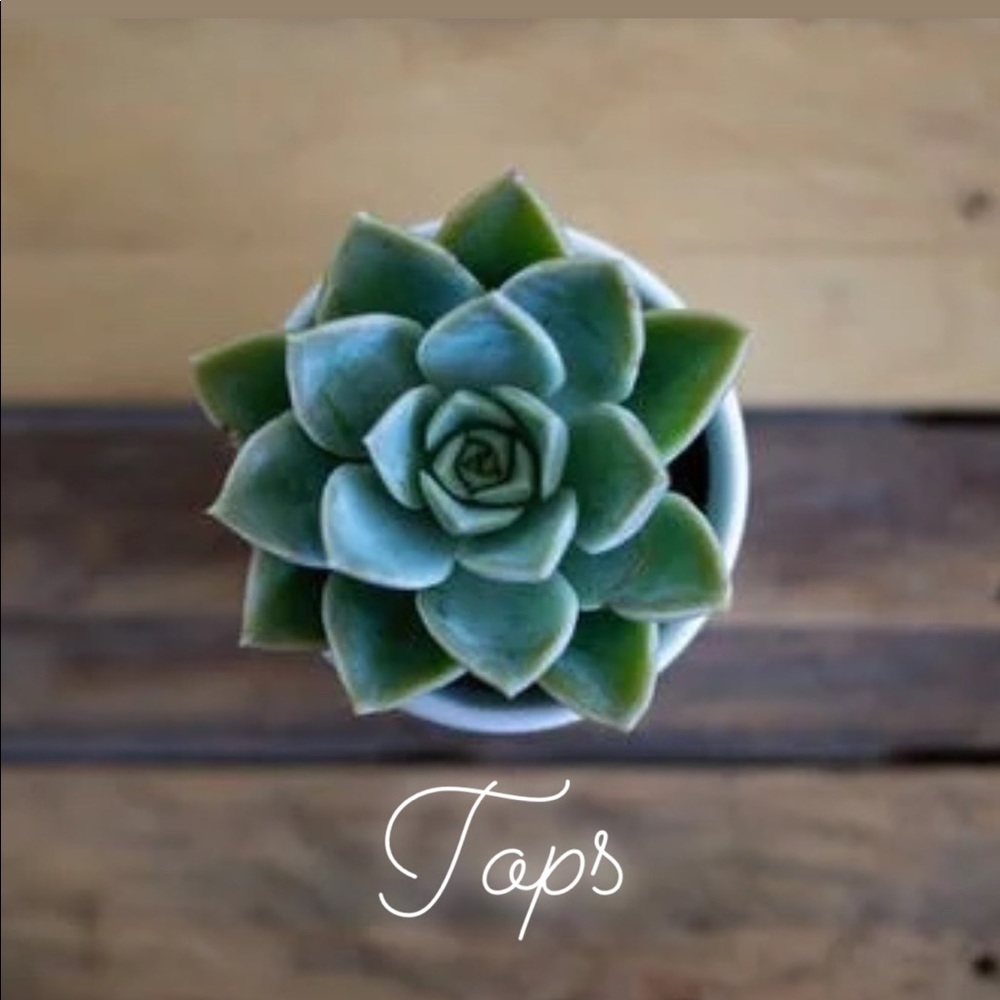 Tops - Picture 2 of 2